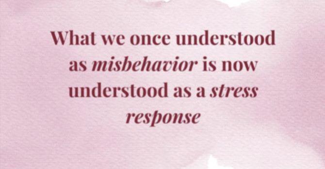 Brain-Body Parenting: Supporting Your Child’s Nervous System