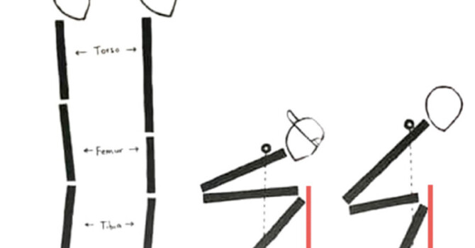 How having longer/shorter legs can change your form when you squat in the gym image