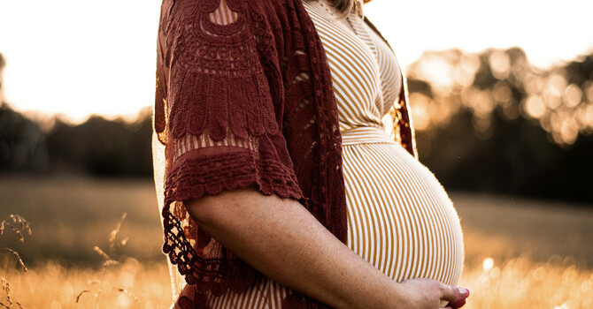 Doula Support Services