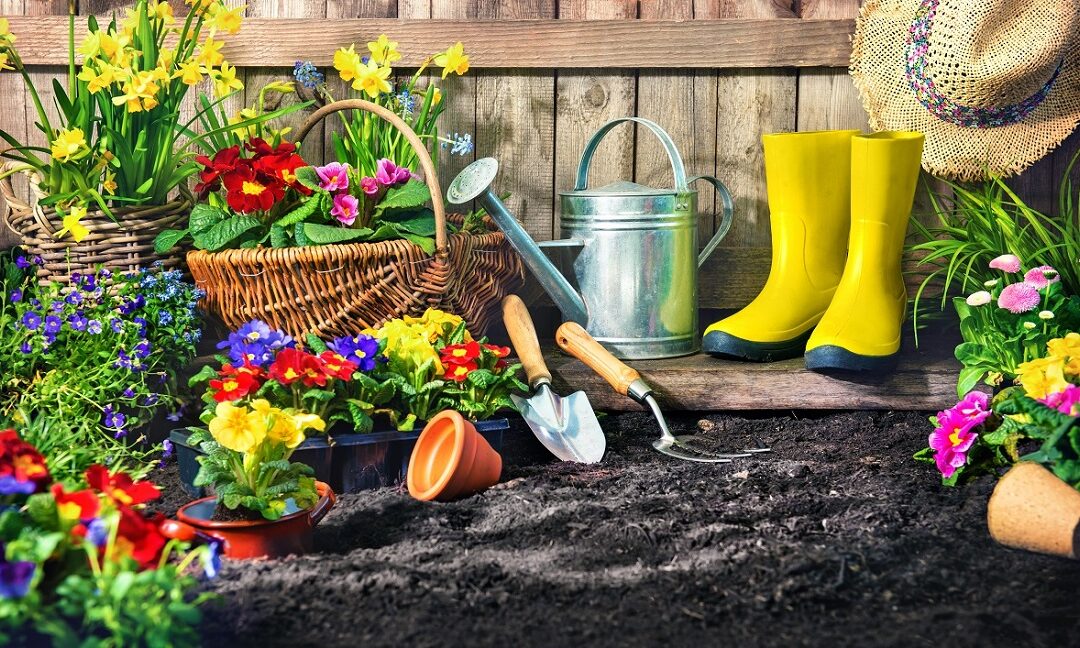 Gardening Tips to put a “Spring” in your Step!